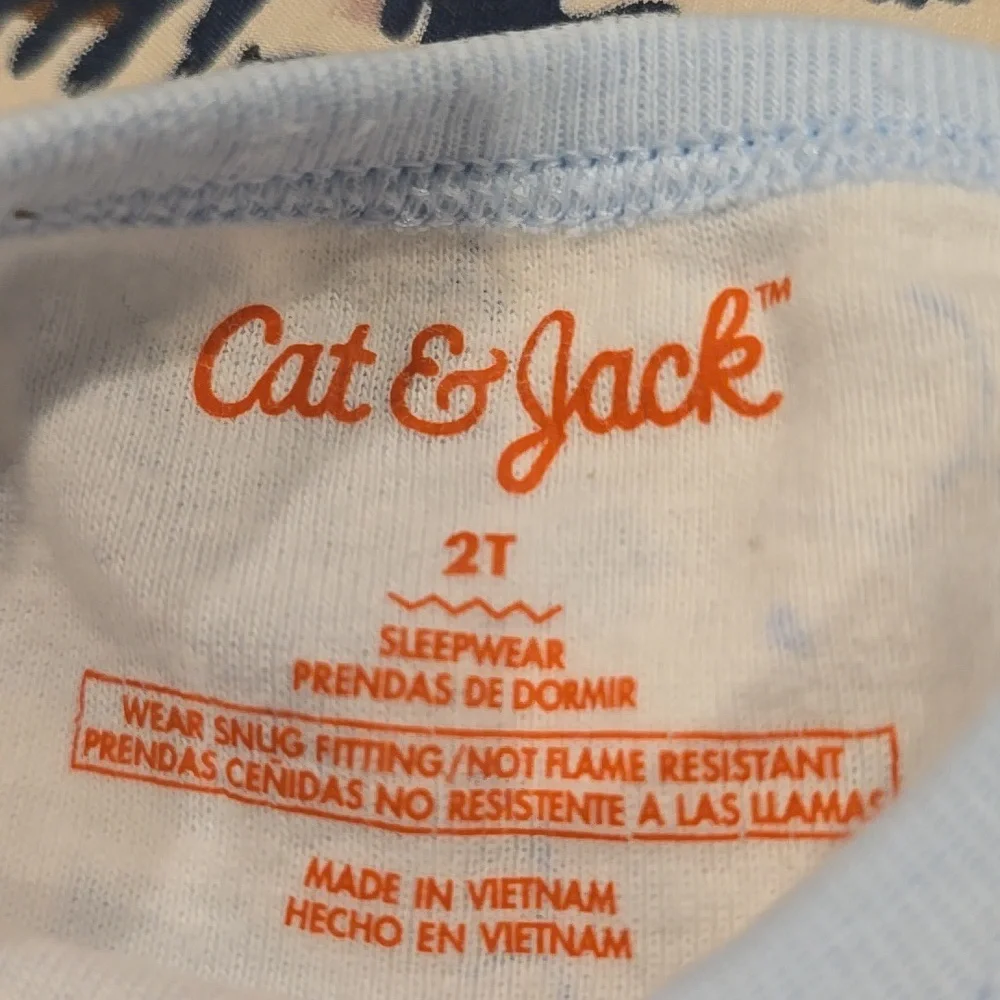 ❤️10/$13 Cat & Jack Light Blue Bunny Print Pajama Top